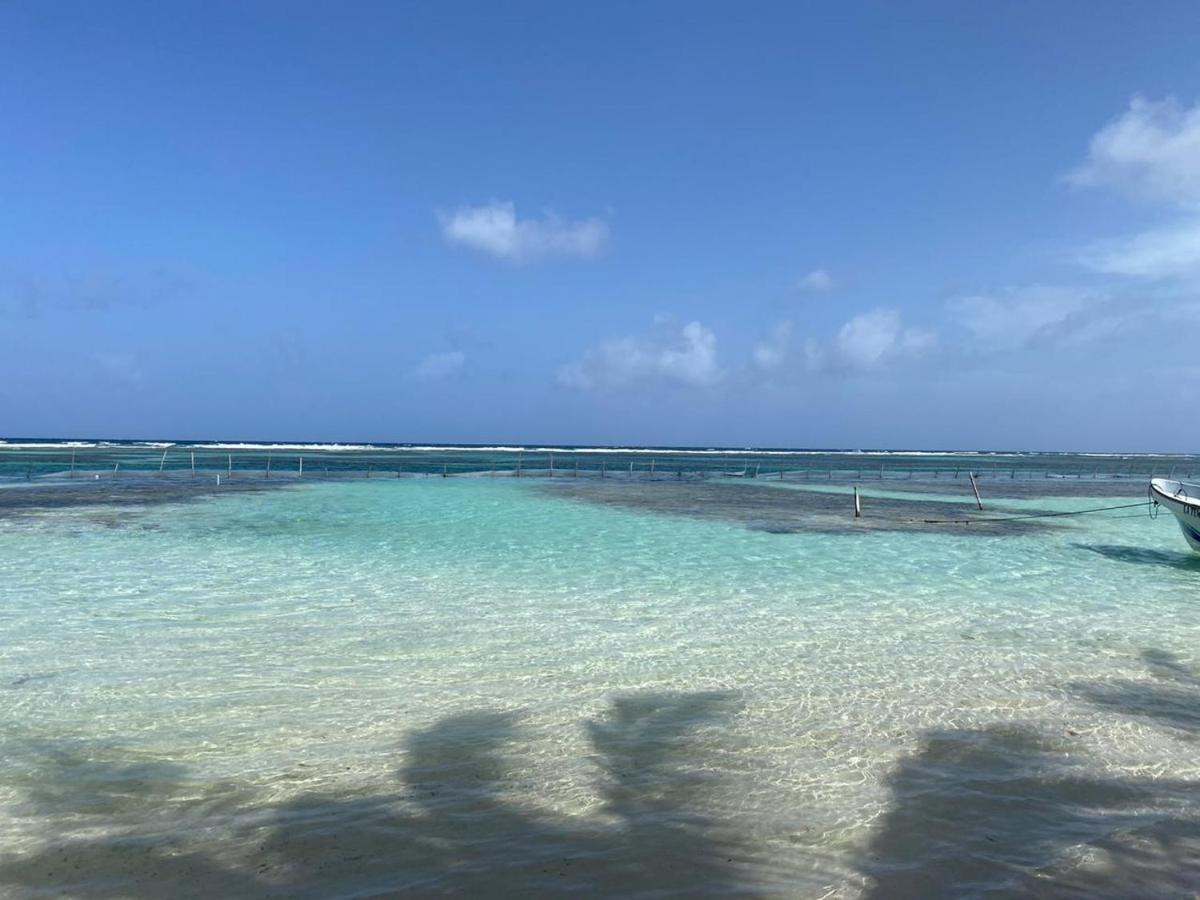 Hotel Blue Reef Frente Al Mar Mahahual Eksteriør bilde
