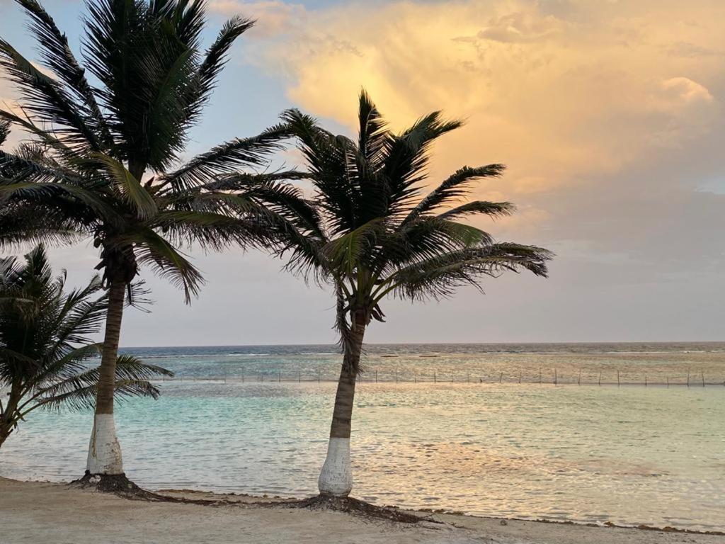 Hotel Blue Reef Frente Al Mar Mahahual Eksteriør bilde